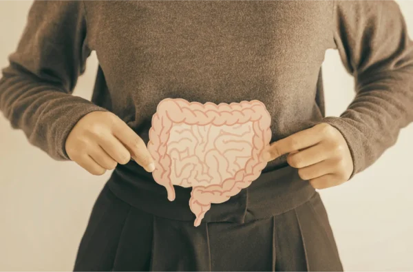 gut brain axis image
