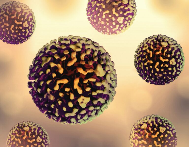 a close up of a cell